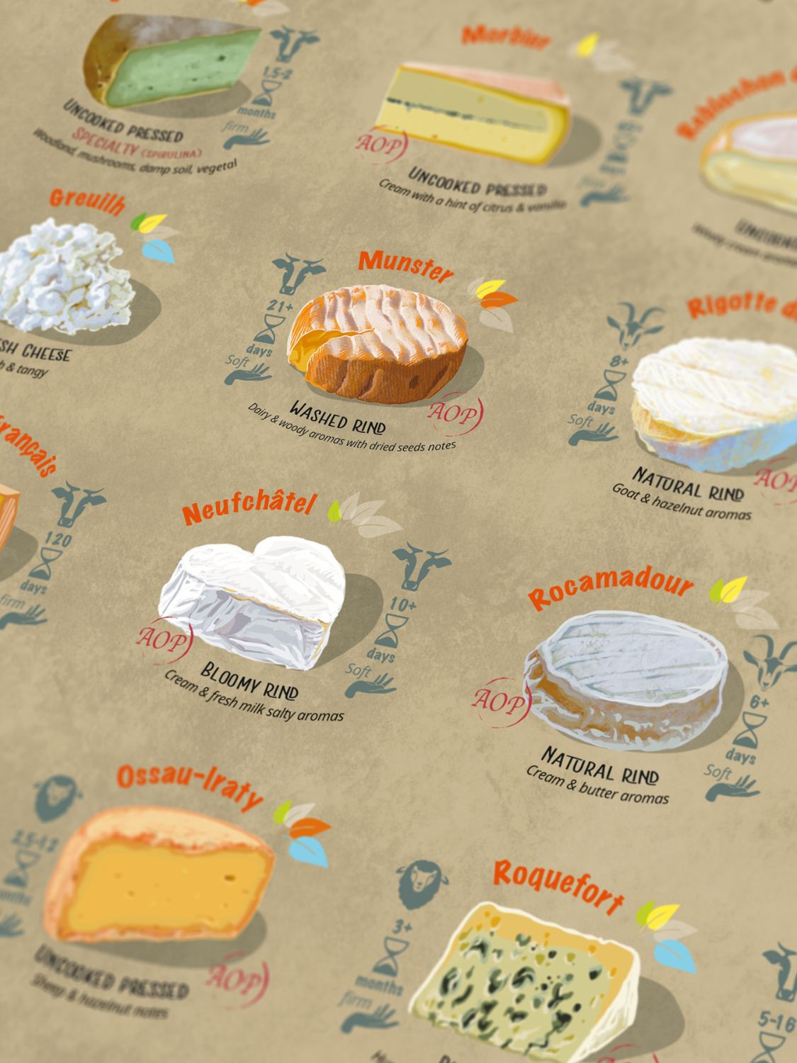 France Cheese Puzzle - Whisky Grail